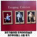 트릭아이미술관 주식회사 | 제주겨울여행 트릭아이미술관 제주투어패스 사용 후기