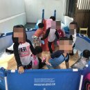 둘리몬테소리어린이집 네이버블로그
