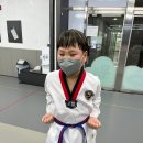 봉담태권도장 이미지