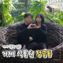 거제 식물원 정글돔 정글타워 근처맛집까지 내돈내산 후기