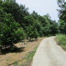 이안면 문창리 이미지