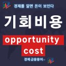 교회신문 ＞ 제 1349호 객원컬럼. 기회비용 관점과 투자 선택 이미지