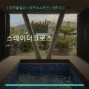 스테이더크로스 네이버블로그