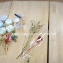 한빛병설유치원 이미지