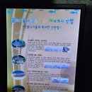 울진 | 울진 민물고기생태체험관 후기<울진 실내 여행지 추천>