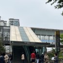 골든싱어코인 이미지