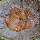 서울식당 이미지