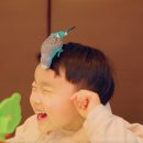 앵무새카페리프패럿삼정타워