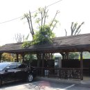 함밭식당 이미지