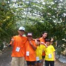 해피알프스 이미지