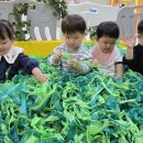 프라임어린이집 이미지