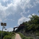 보국사 - 1148 | 대구 송해공원 구름다리 후기 옥연지 둘레길 주차, 여름 산책 코스