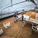 수당농장 이미지