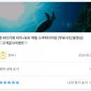 호텔테리스 네이버블로그
