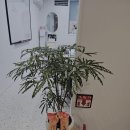 오늘의수학교습소 이미지