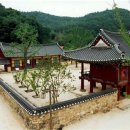 전라도 장성 여행, 버베나 보랏빛 축제 램프 공원 동화의 나라로 떠나 보자.