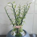 광산구-164 이미지