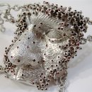 다리(DARI) 이미지