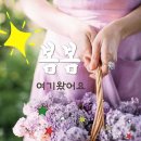 모든날이 행복하기를 네이버블로그