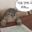 유성자이 안경 | 그냥 하기나 해