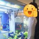 주식회사 퍼니랜드 네이버블로그