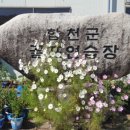 합천군골프연습장 Daum카페