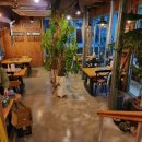 아날로그76 이미지