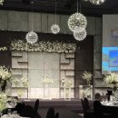 박종근 | W - 결혼식 사회 아나포트 박종근 대표님 계약후기 및 식순구성 팁