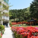 토마토요양병원 이미지