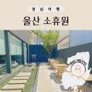 울산 소휴원 옥동 브런치 카페 내돈내먹 후기