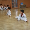 해인태권도 이미지