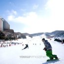 파인리조트 이미지