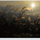 문의중학교 이미지