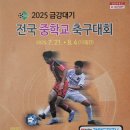 진부체육공원 인조잔디구장 이미지