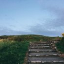 더 엘레펀트 이미지