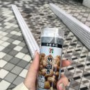 하루 | 오키나와 북부투어 | 하루하루 투어 내돈내산 후기