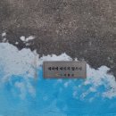 세파에 따르지    이미지