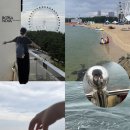 속초사잇길 제2길 | 속초 당일치기 친구랑 여행 코스 공유/ 물회, 소품샵, 장칼국수 등 솔직후기 모음