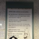 청정돼지특구 | [제주시 연동] 대구3대막창 연막창 제주연동점 // 제주도막창맛집