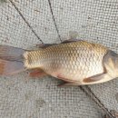 양석낚시터 이미지