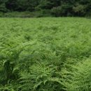 상예동-8 이미지