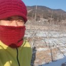 태송농장 이미지