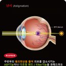 씨채널안경전주신시가지점 이미지