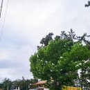 홀통노래연습장 이미지