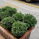 금호2-3가동 주민센터 3층 다목적실 이미지