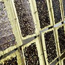 김의 효능 이미지