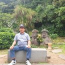 제주도민 양기사