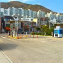 동동다리 이미지