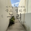 제주도키즈풀빌라빈스 | 제주도 펜션 추천 가족 독채 가성비 풀빌라 #놀리 #제주놀리