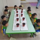 나투라힐링하우스